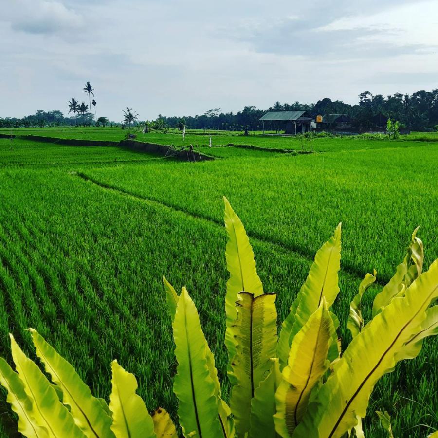 Villa Popolan And Guest House Ubud  Exterior photo