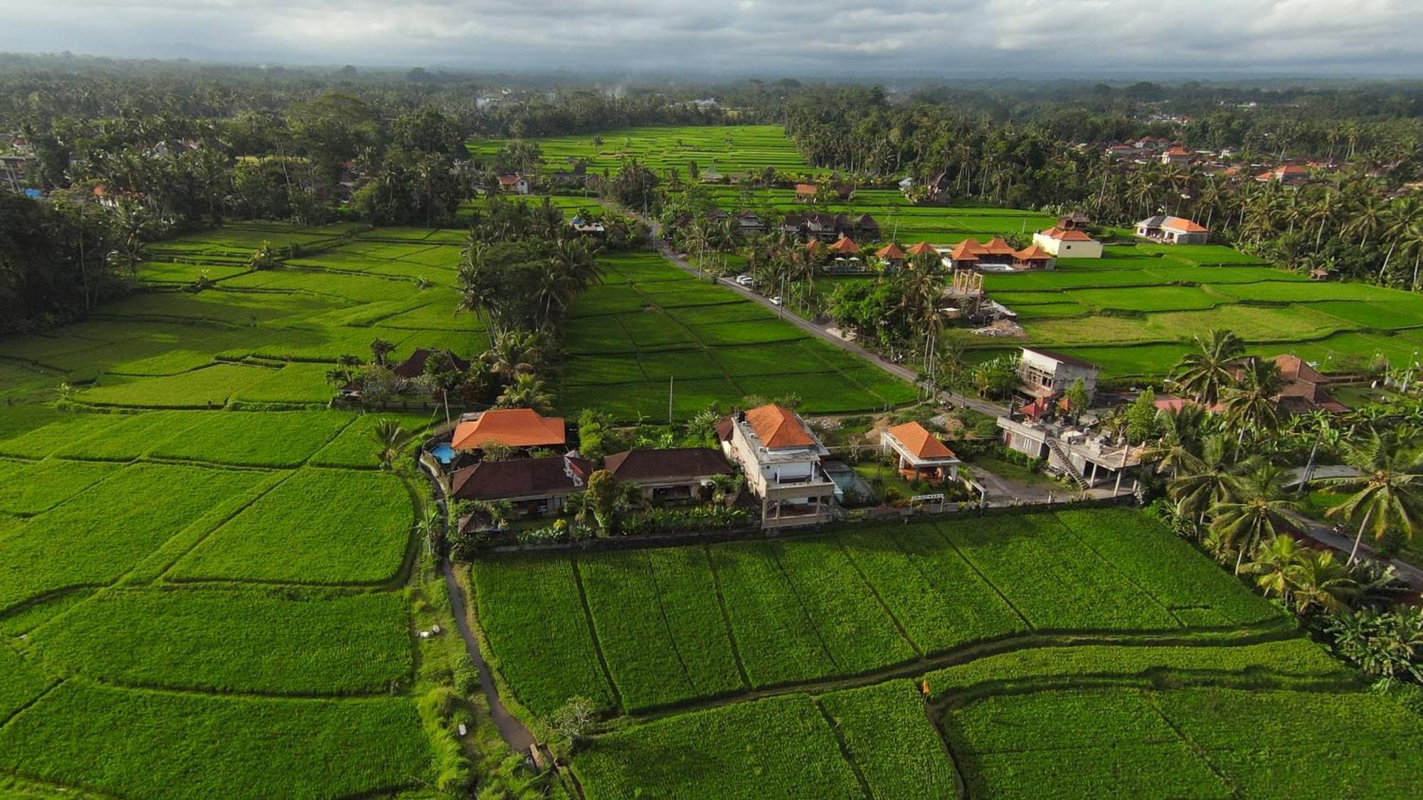 Villa Popolan And Guest House Ubud  Exterior photo